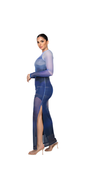 Ombre Dress Two-layer Long Sleeve Mesh